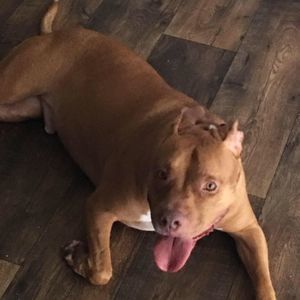 Meet your Posher, Angela